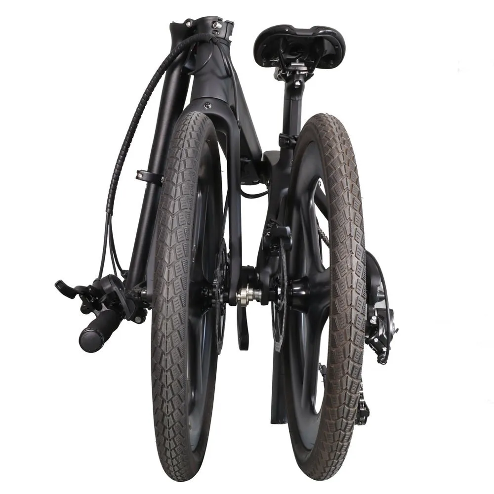 Folding Bike Lizard-Tri Spoke