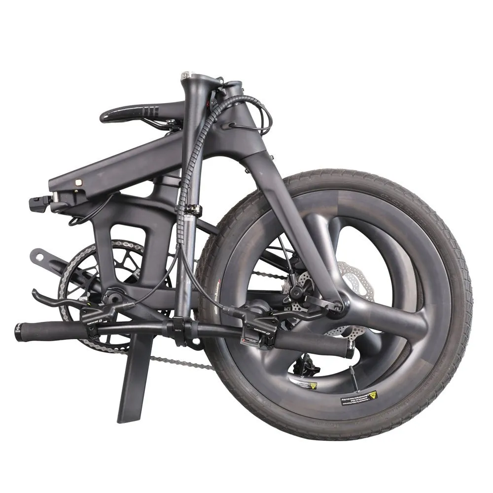 Folding Bike Lizard-Tri Spoke