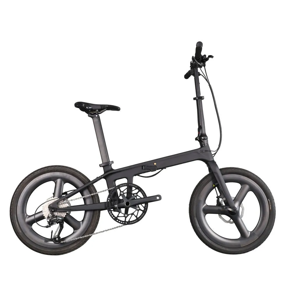 Folding Bike Lizard-Tri Spoke