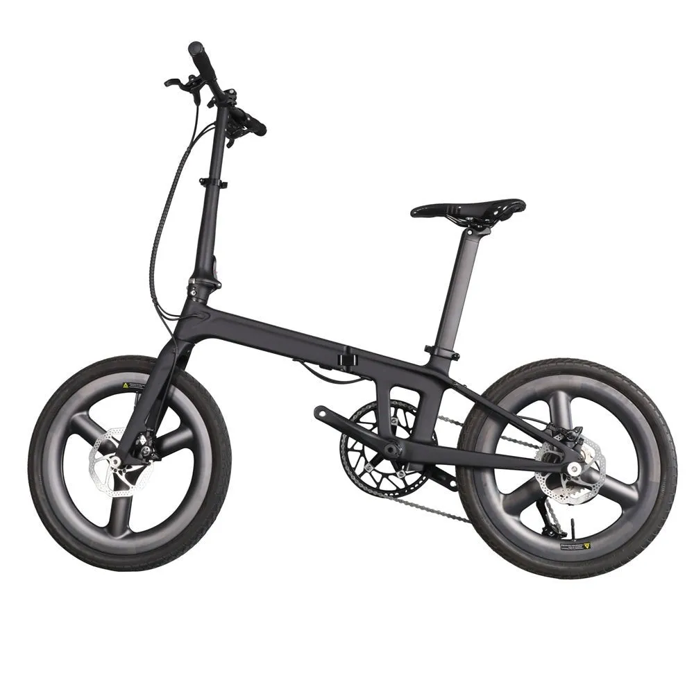 Folding Bike Lizard-Tri Spoke