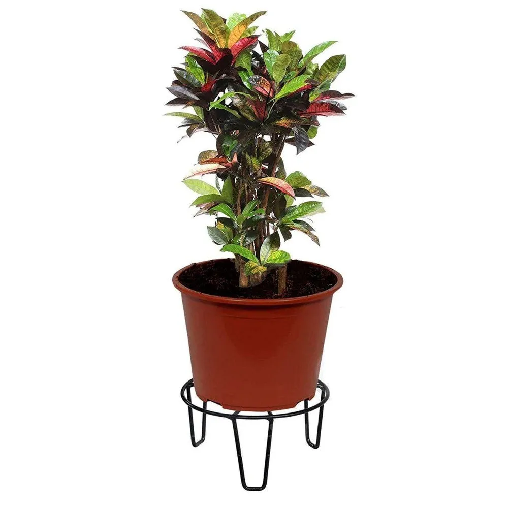 Iron Plant Stand, Flower Pot Stand